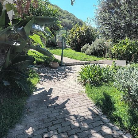 Il Rosmarino Apartment Ischia Bagian luar foto