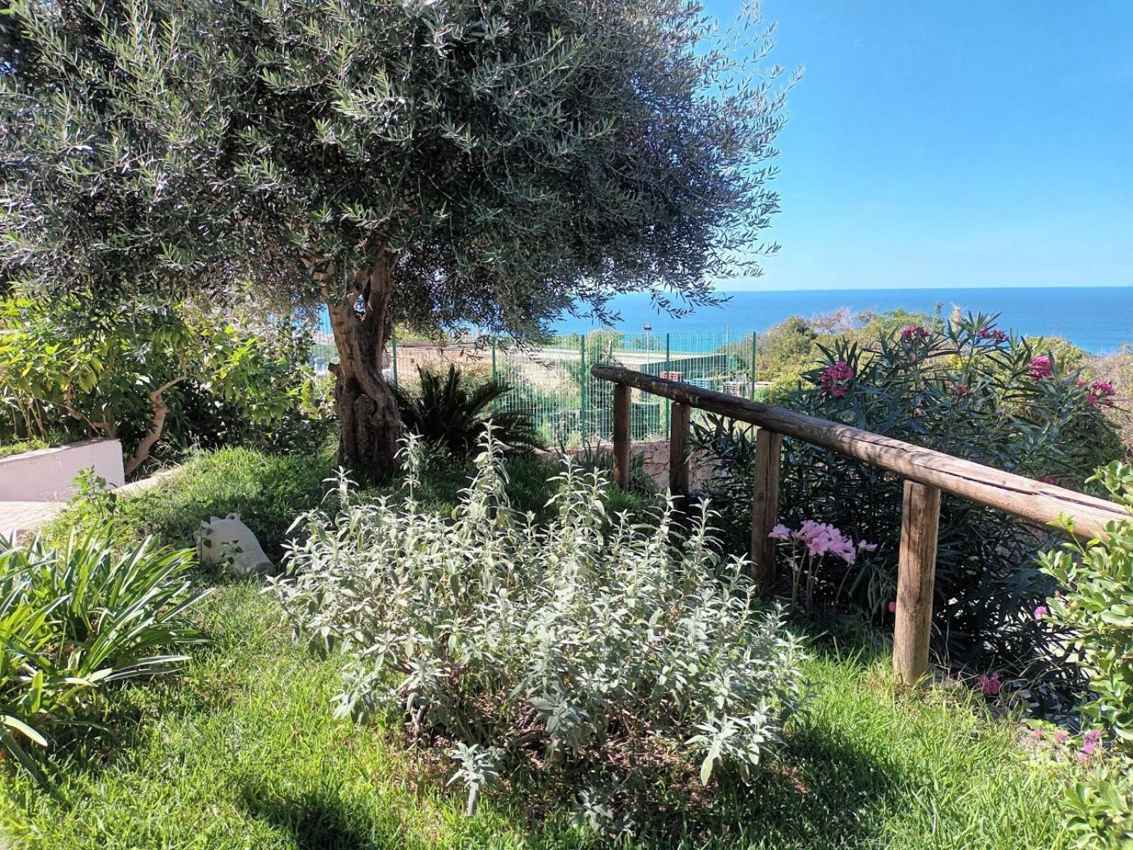 Il Rosmarino Apartment Ischia Bagian luar foto